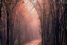 KAIYUN：卡特谈将被篮网退役球衣：梦想成真 心存感激.