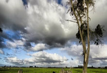 KAIYUN：王霜：今年有联赛、亚冠、全运会三大目标，若进球准备跳一段舞.