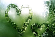 Shams：欧文在纽约成功接受了左膝前交叉韧带撕裂手术.