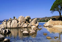 KAIYUN：里弗斯：丹佛大概是最难打的客场之一 为球员感到无比骄傲.